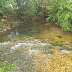 Inland Waterscapes, Udine 2024